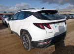 HYUNDAI TUCSON 1.6 t-gdi 230 hybrid business bva6 boite auto