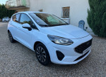 FORD FIESTA  1.0 flexifuel 95cv titanium business 5portes