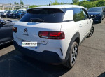 CITROËN C4 CACTUS 1.5 bluehdi 120cv shine business eat6 boite auto