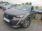 PEUGEOT 2008 1.5 bluehdi 110cv active business boite 6
