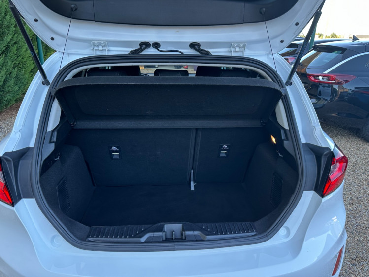 FORD FIESTA  1.0 flexifuel 95cv titanium business 5portes