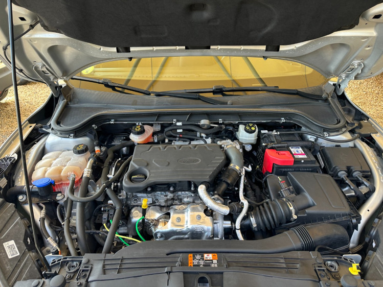 FORD FOCUS 1.5 ecoblue 120cv active x 5portes