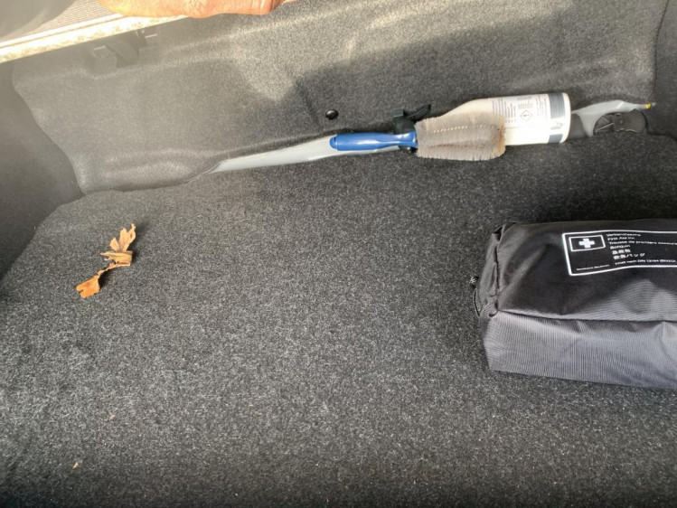 BMW x2 s drive 1.8 business désign 136cv dkg7 boite auto