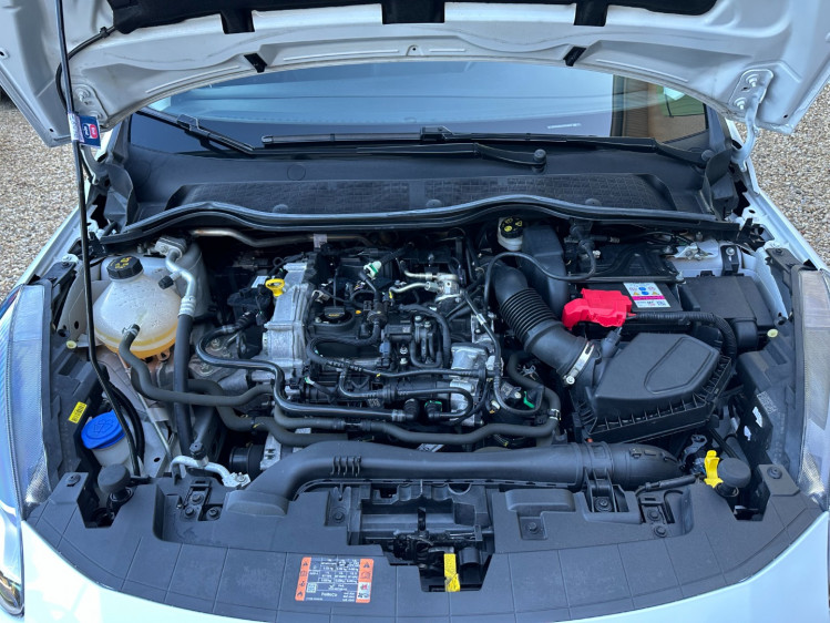 FORD FIESTA  1.0 flexifuel 95cv titanium business 5portes